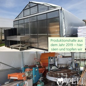 2021_KW38_Leitbild3_Eigenproduktion_Regionalität