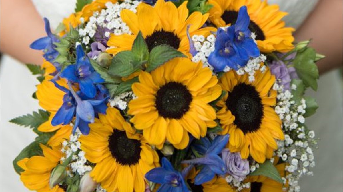Brautstrauß mit Sonnenblumen und Schleierkraut