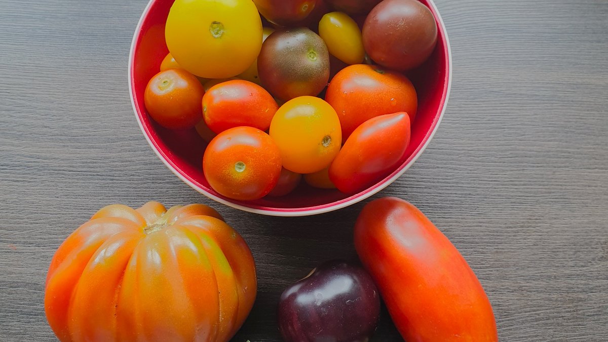 Verschiedene Tomaten