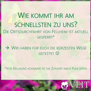 Schnellster Weg nach Pleß
